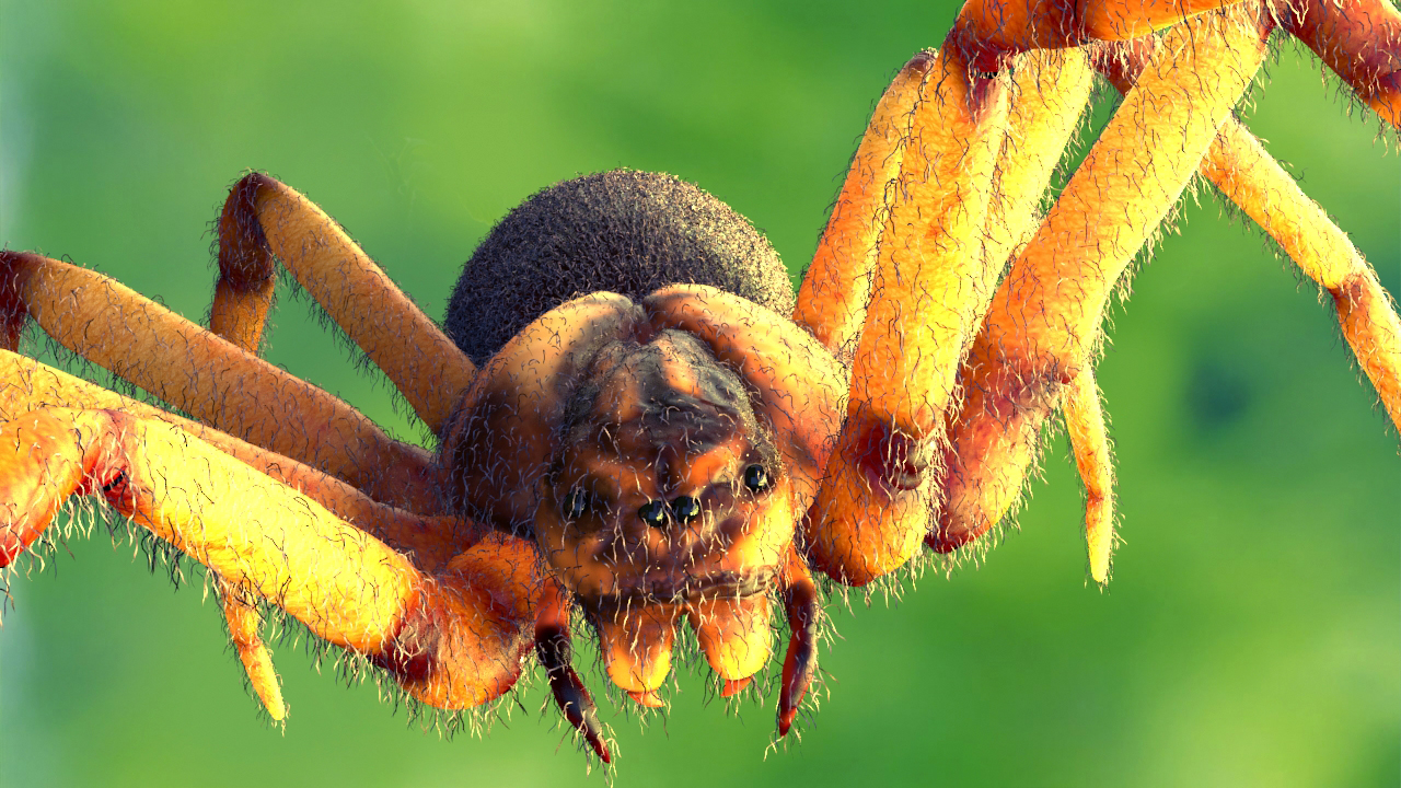 3ds max realistic spider