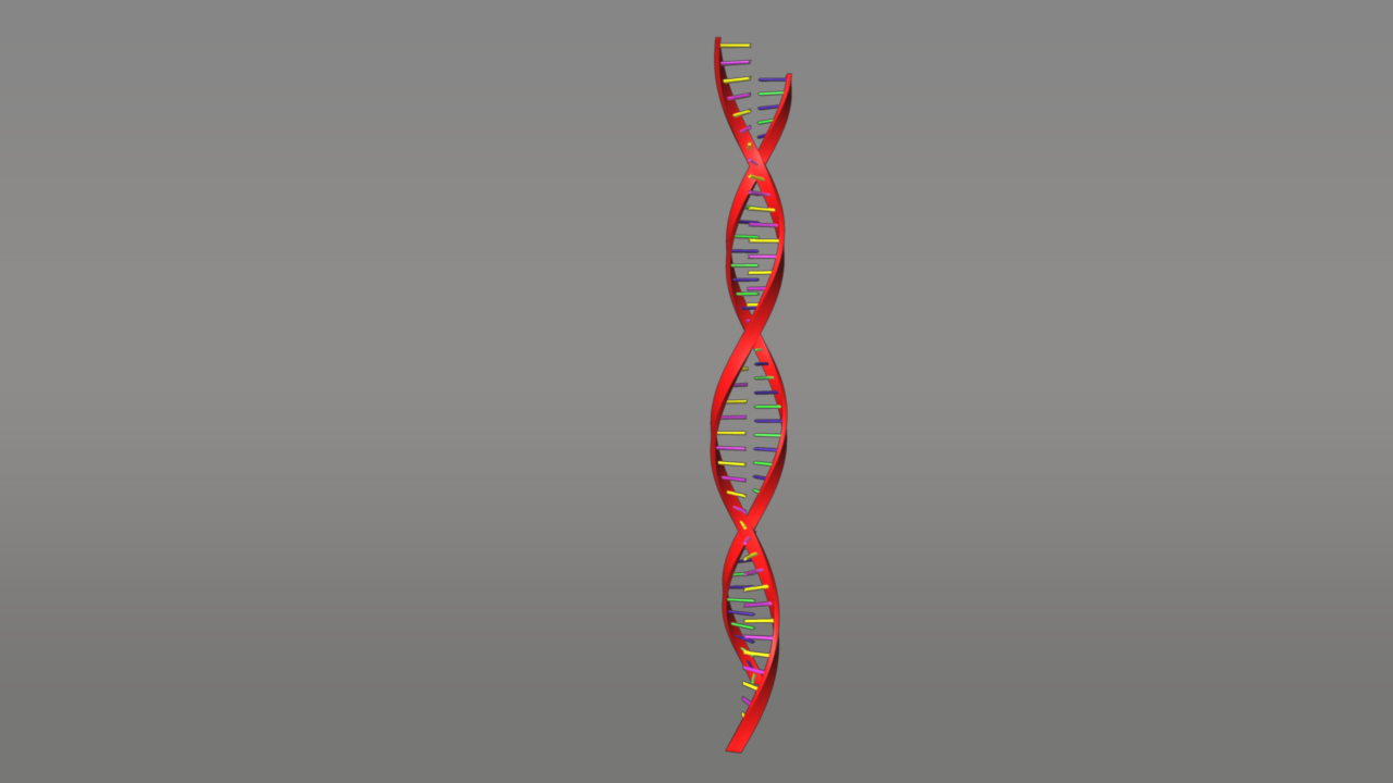 Protein Synthesis 3d Model