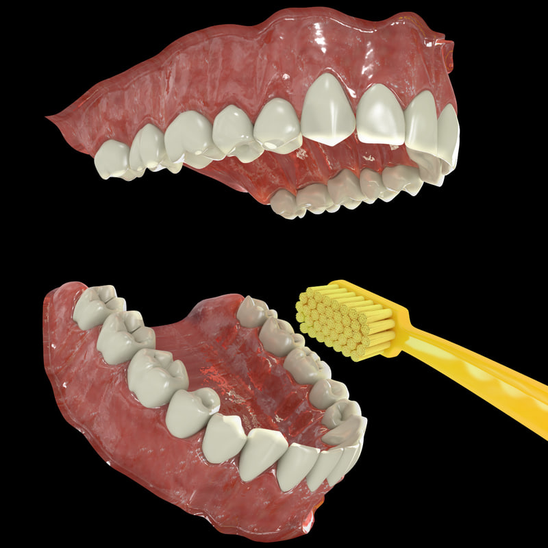 3d-human-teeth-model