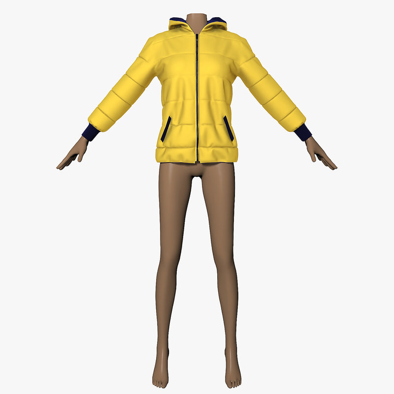 3d Yellow Jacket Model