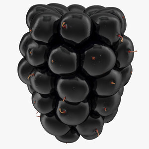 blackberry 2 3d model