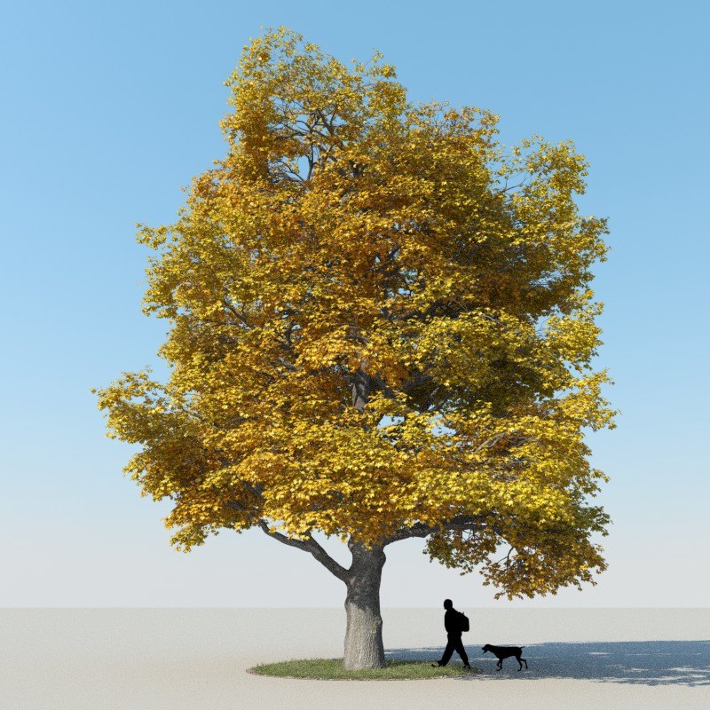 3ds max realistic maple tree autumn