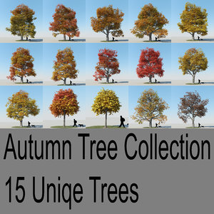 3d realistic maple trees autumn model