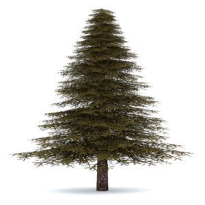 realistic fir tree 3 3ds