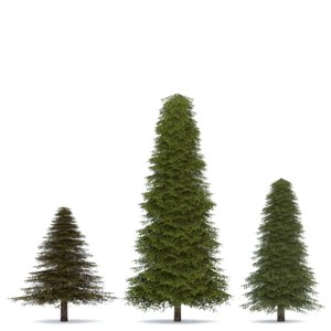realistic fir tree 3d 3ds