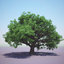 3ds max english oak tree