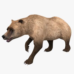 3d model of grizzly bear pose 2