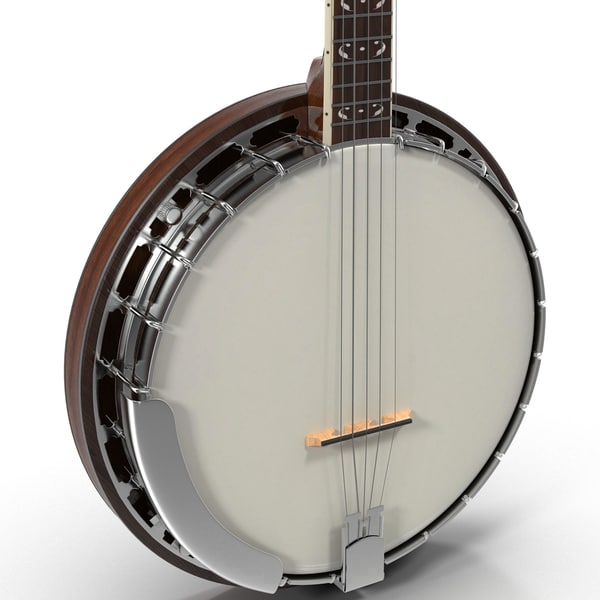 3d banjo