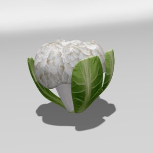 3d cauliflower flower
