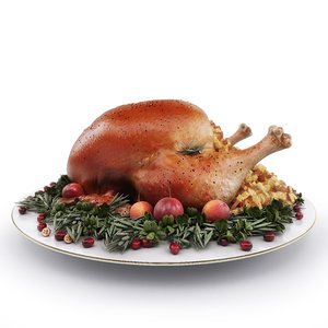 3d max thanksgiving turkey hq