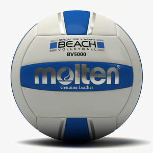 3d molten beach volleyball