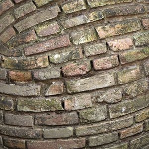 Bricks #12 Texture