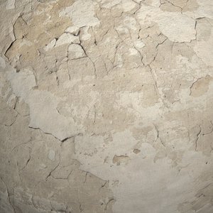 Plaster #05 Texture
