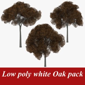 3d model pack white oak tree