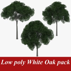 3d model pack white oak tree