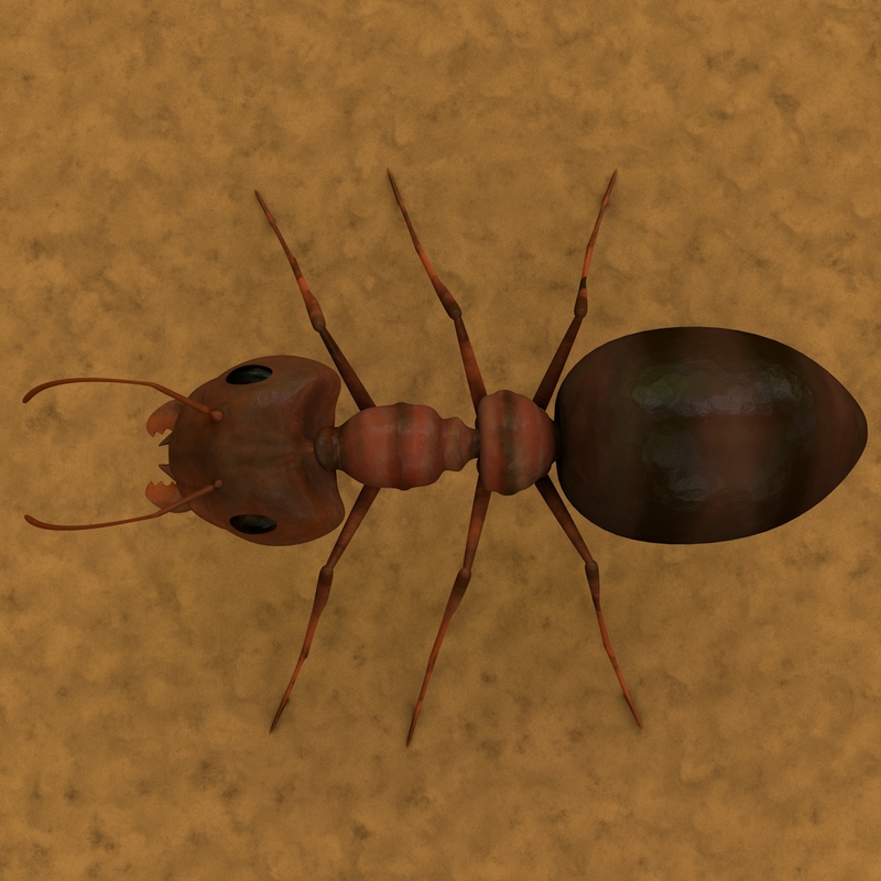 Ant Animation Running 3ds Free