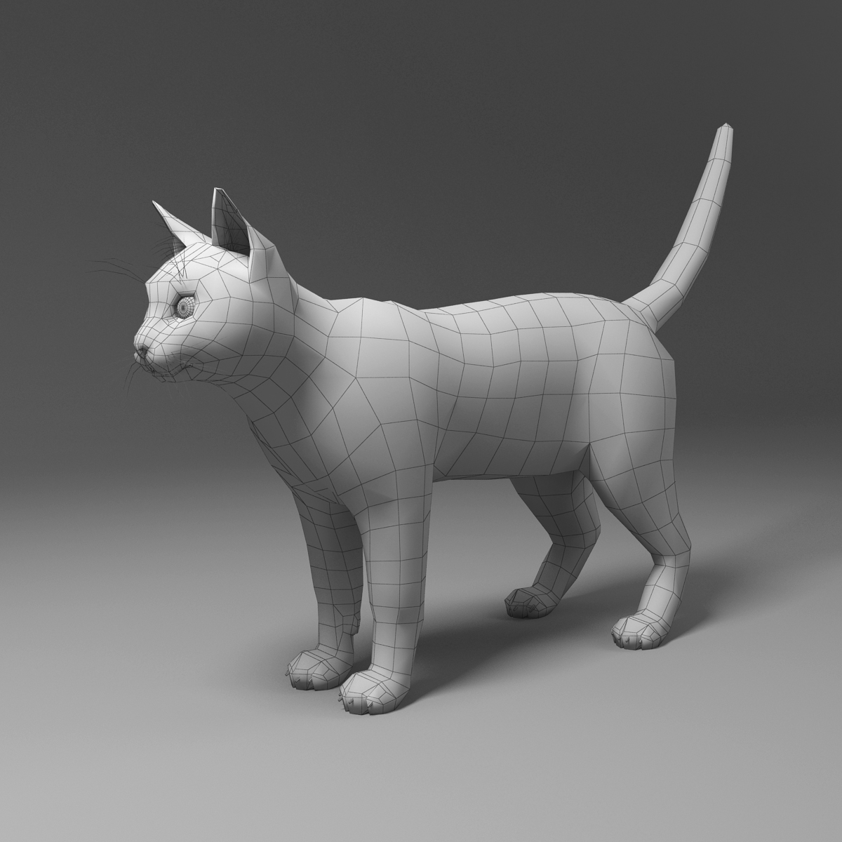 3d domestic cat fur hair model