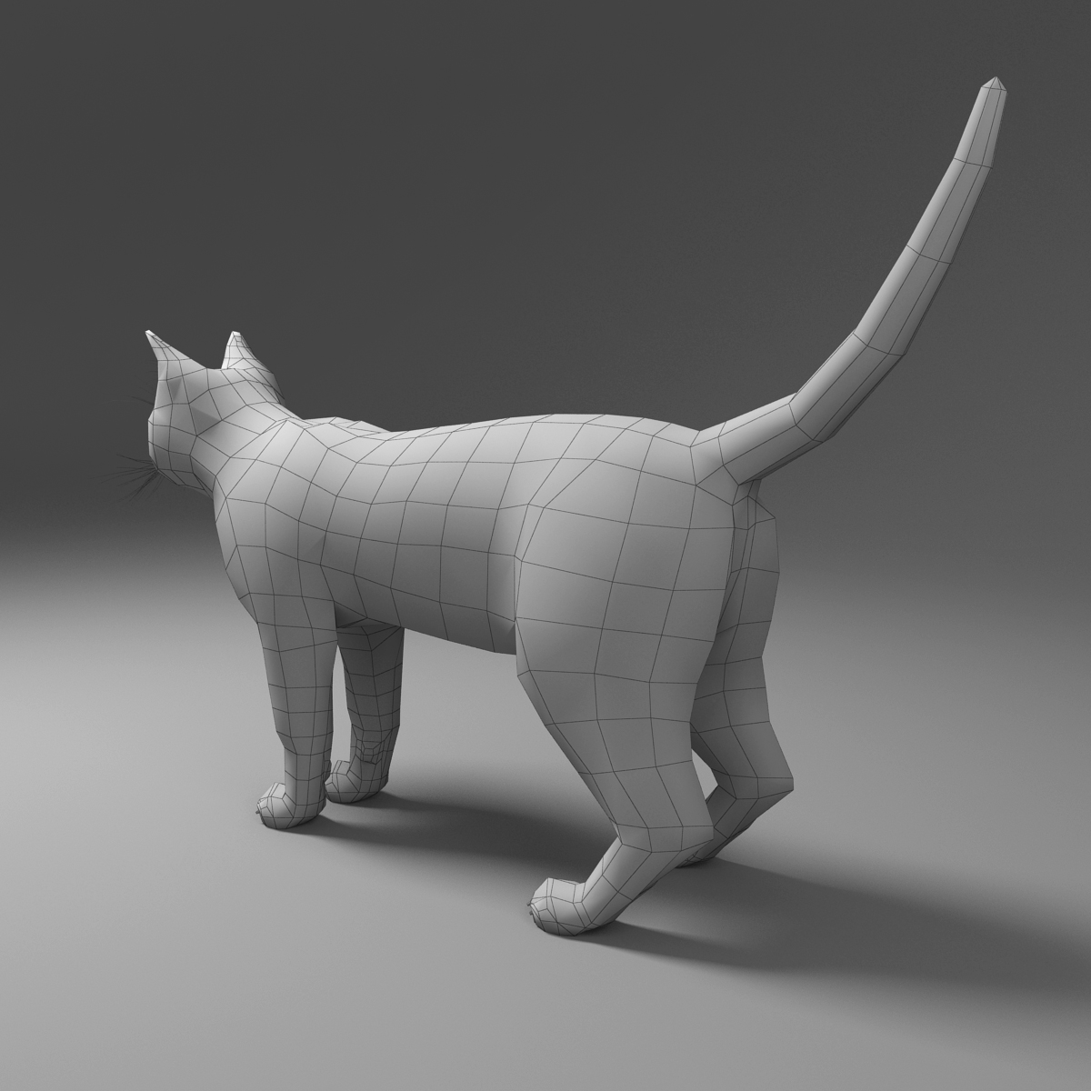 3d domestic cat fur hair model