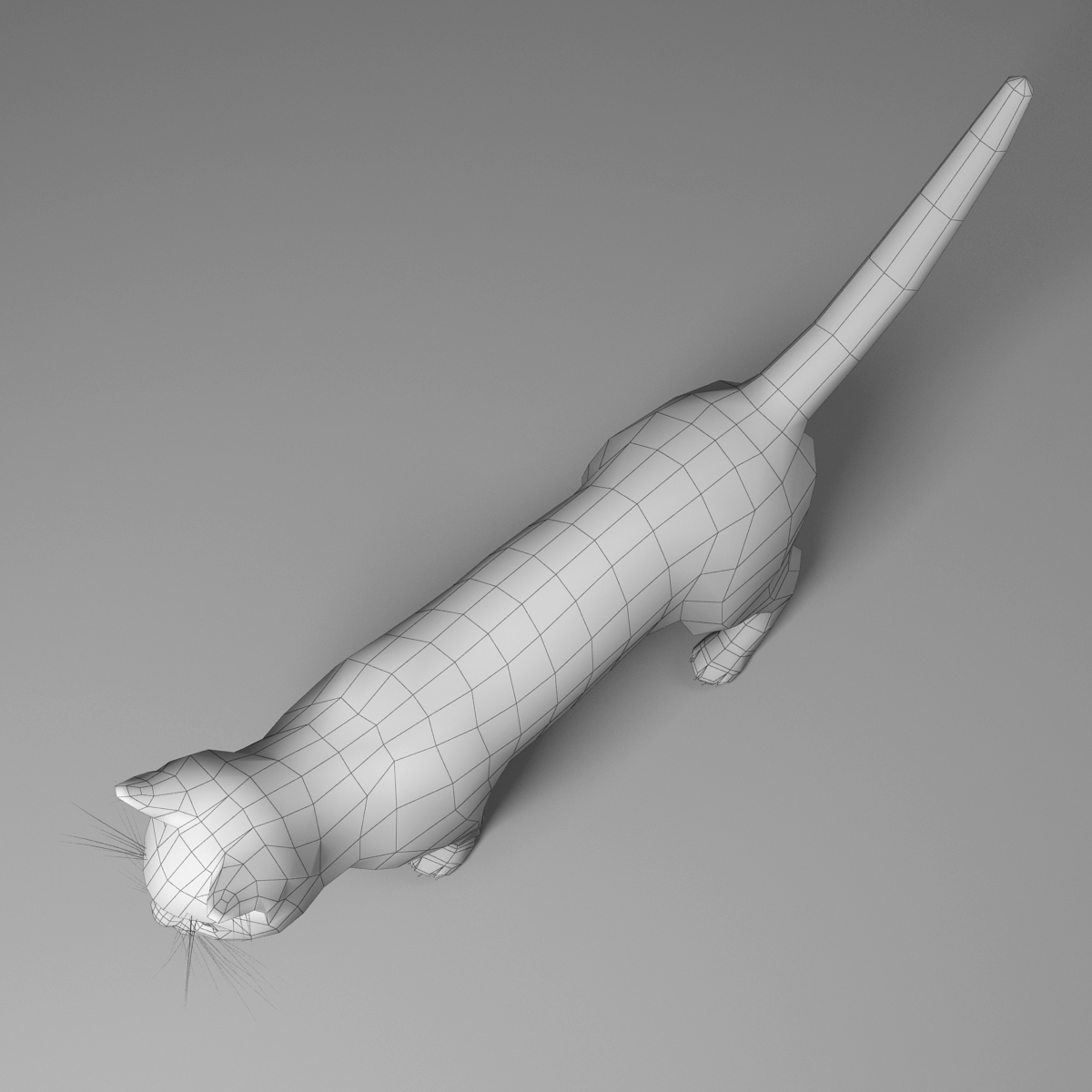 3d domestic cat fur hair model