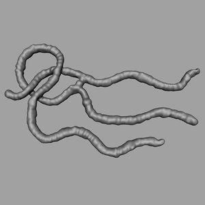 maya ebola virus