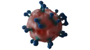 maya rhinovirus common infective
