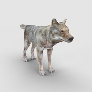3ds max wolf