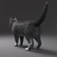 domestic cat gray fur 3d max