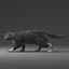 domestic cat gray fur 3d max
