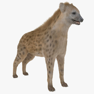 hyena fur 3d max