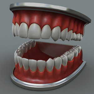 jaw teeths max