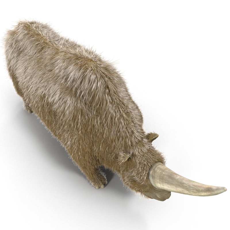 elasmotherium figure