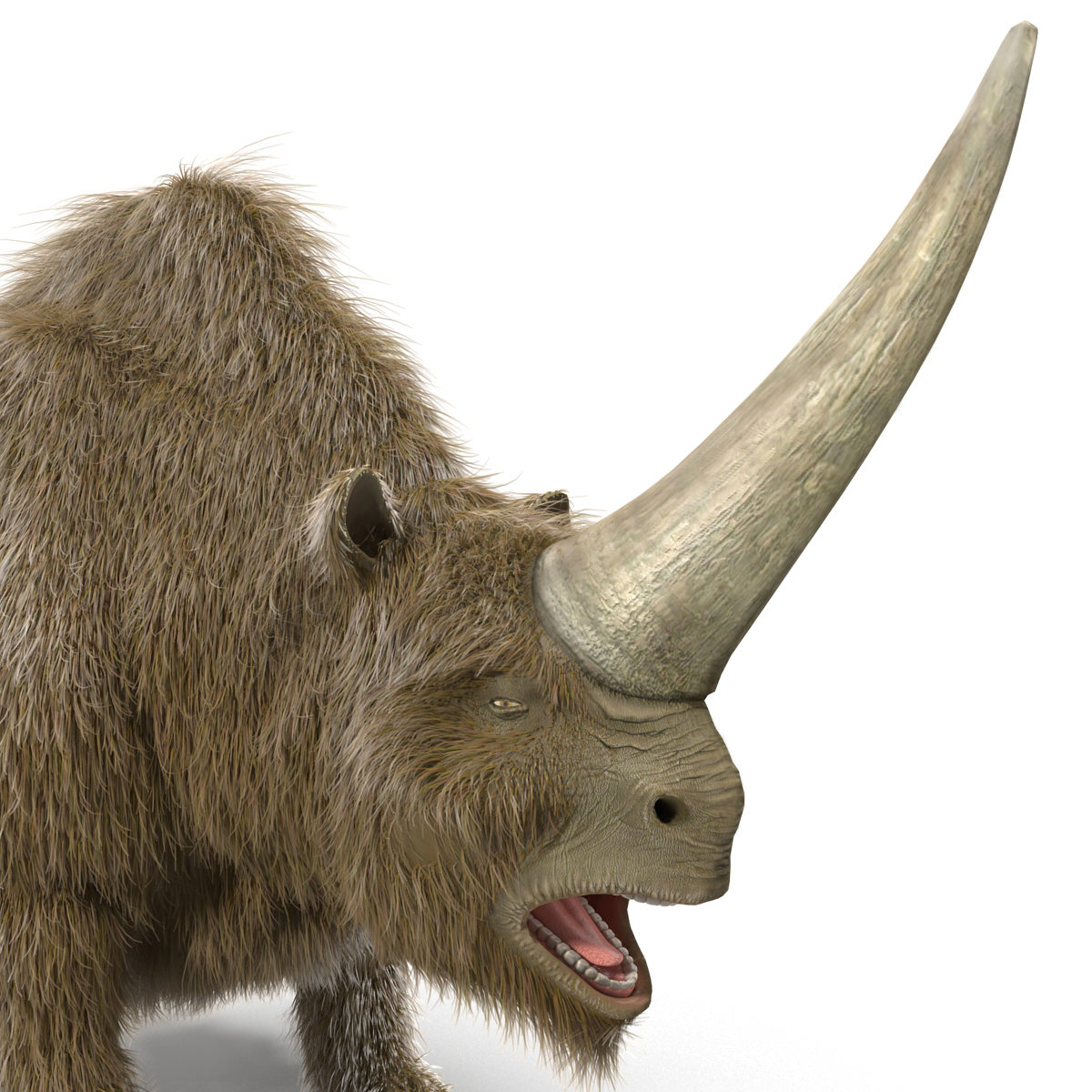 elasmotherium figure
