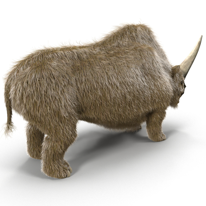 elasmotherium figure