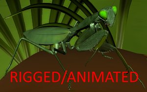 mantis rigged animations 3d ma