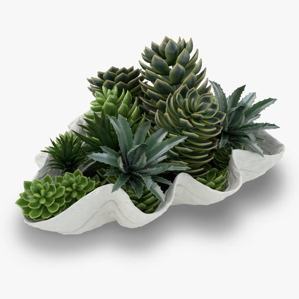 Grasp (Your) 22 Kinds Of Jade Plants In 5 Minutes A Day