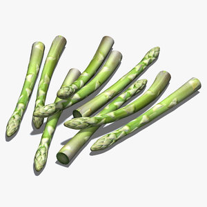 spear asparagus 3d model