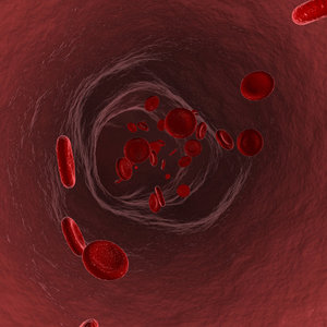 3d vein blood cells