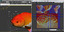 goldfish fish gold 3d model