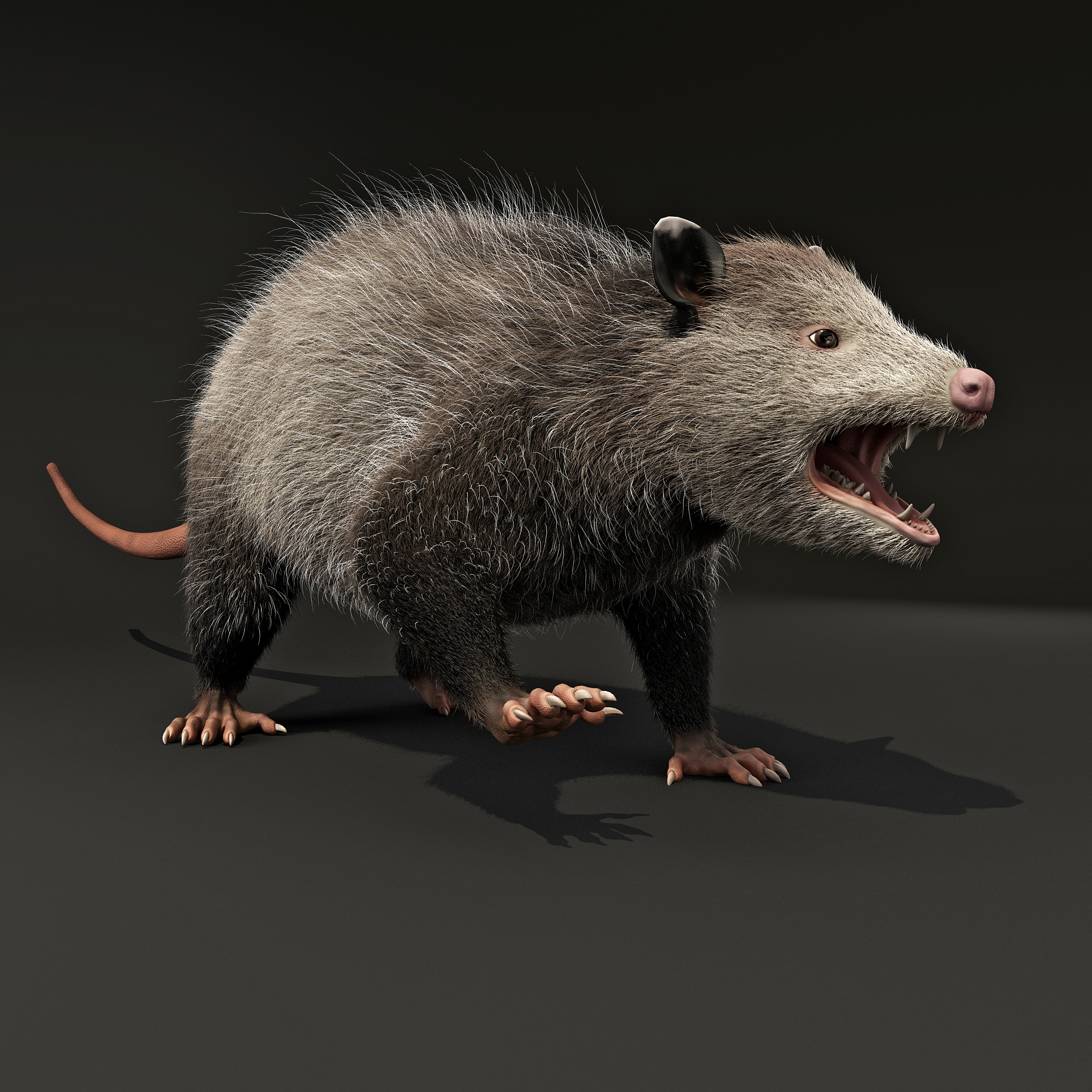 possum fur rigged