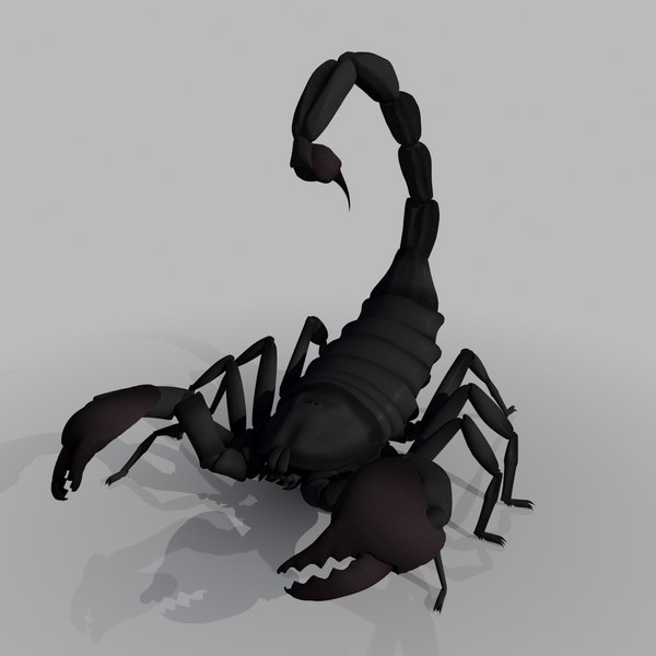 3d scorpion model