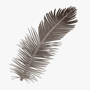 bird feather 3d 3ds