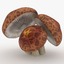 3d shiitake mushrooms