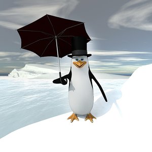 3d pinguin chiko model