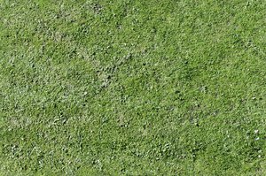 Tex de Kuip Grass Field  Tilable