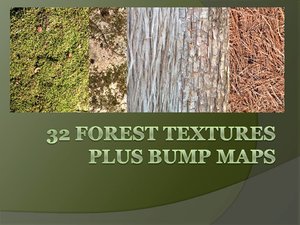 32 Forest Textures & Bump maps