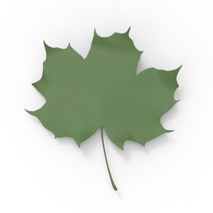 3d fall leaf