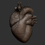 maya accurate printable human heart