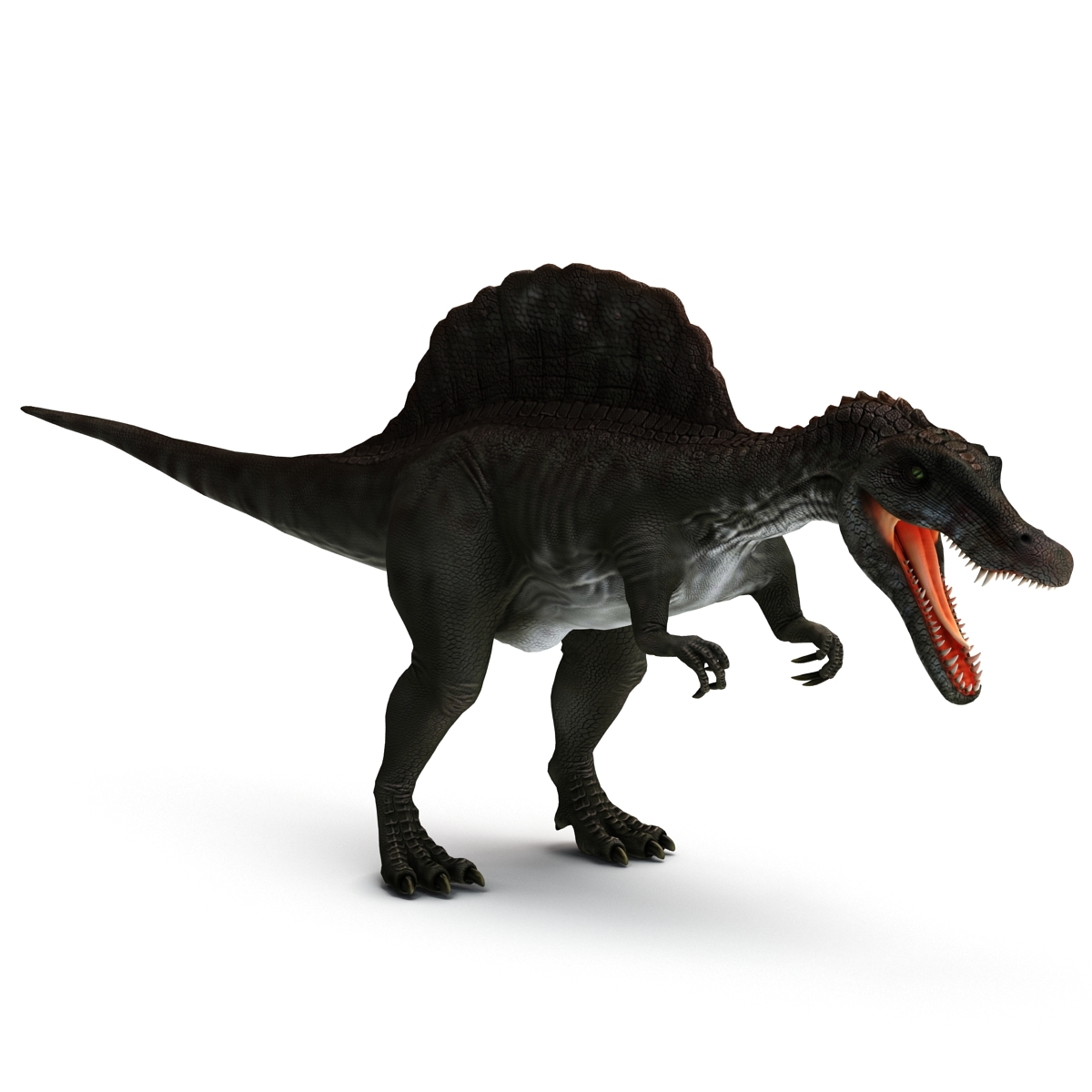 spinosaurus 3d google