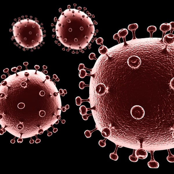  hiv  aids  virus  3d model 