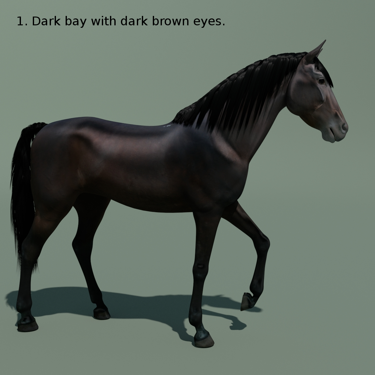 blender horse animations colour 3d 3ds